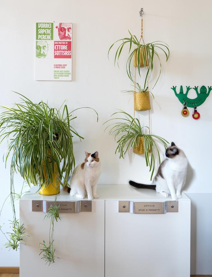 Zip . Design In Couette-café